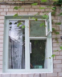 окно защищенное сеткой